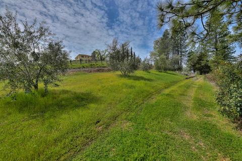 3900 Mariah Ln, Placerville, CA 95667 photo 32