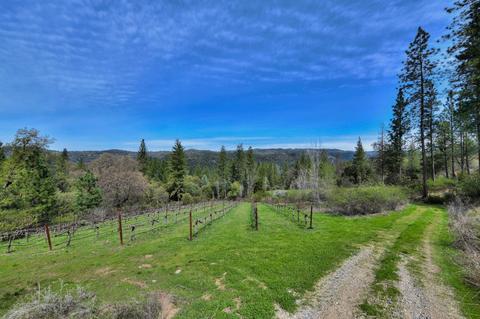 3900 Mariah Ln, Placerville, CA 95667 photo 33