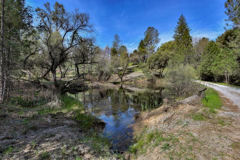 3900 Mariah Ln, Placerville, CA 95667 photo 34