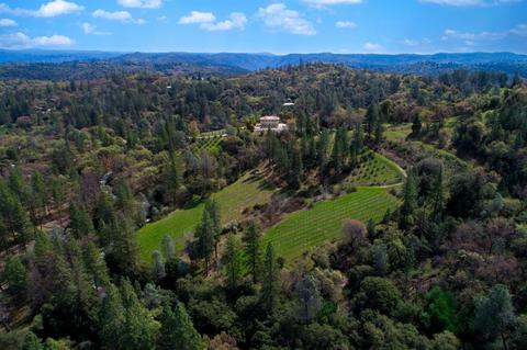 3900 Mariah Ln, Placerville, CA 95667 photo 35