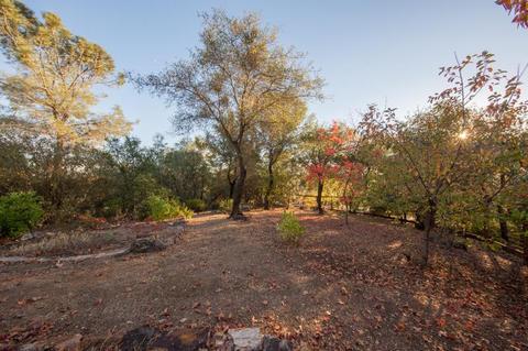3271 Otter Pl, Cool, CA 95614 photo 24
