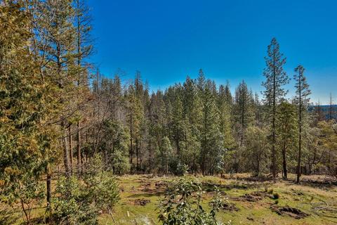 6535 Deer Canyon Ct, Placerville, CA 95667 photo 21
