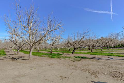 8575 Holmes Ln, Winters, CA 95694 photo 25