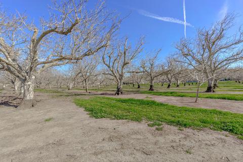 8575 Holmes Ln, Winters, CA 95694 photo 24
