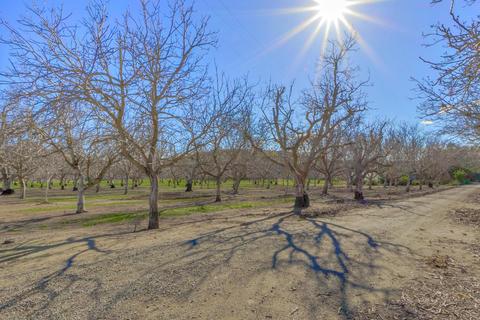 8575 Holmes Ln, Winters, CA 95694 photo 26