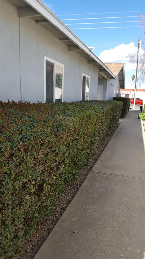 1716 Sylvan Ave, Modesto, CA 95355 photo 3