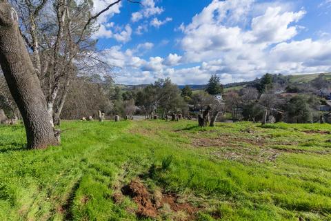 110 Raylan Dr, Sutter Creek, CA 95685 photo 3
