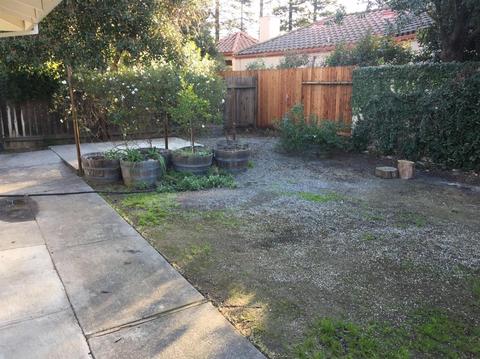 1104 Deodara St, Davis, CA 95618 photo 23