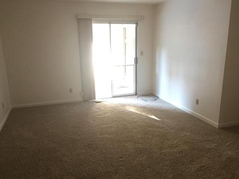 1104 Deodara St, Davis, CA 95618 photo 17