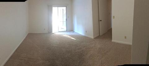 1104 Deodara St, Davis, CA 95618 photo 16