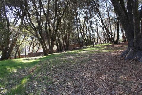 21036 Diablo Ct, Sonora, CA 95370 photo 20