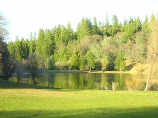 3518 Stope Dr, Placerville, CA 95667 photo 3