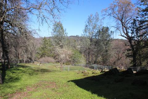 5401 Buck Mountain Rd, Placerville, CA 95667 photo 23