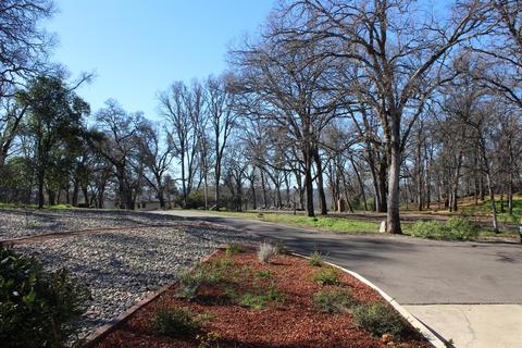 5401 Buck Mountain Rd, Placerville, CA 95667 photo 4