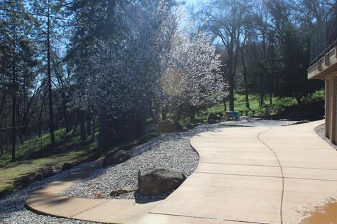 5401 Buck Mountain Rd, Placerville, CA 95667 photo 17