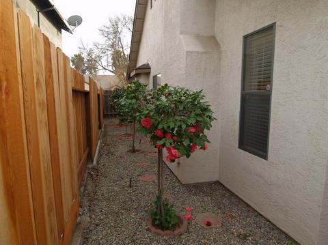 2029 Stracker Way, Modesto, CA 95350 photo 26