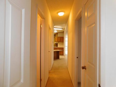 18 Tule Ct, Lodi, CA 95242 photo 28