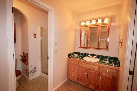 791 Dogwood Dr, Murphys, CA 95247 photo 10