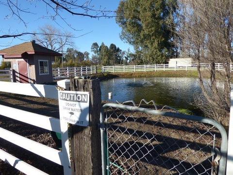 3150 Gladding Rd, Lincoln, CA 95648 photo 13