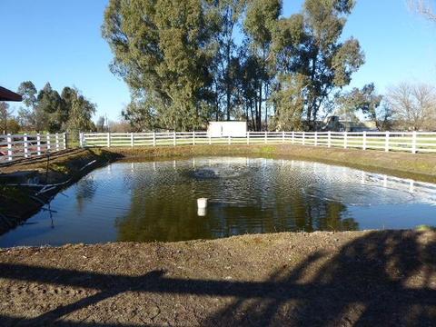 3150 Gladding Rd, Lincoln, CA 95648 photo 12