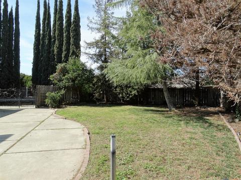1501 Daisy Tree, Ceres, CA 95307 photo 23