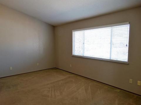 1501 Daisy Tree, Ceres, CA 95307 photo 16