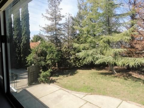 1501 Daisy Tree, Ceres, CA 95307 photo 3