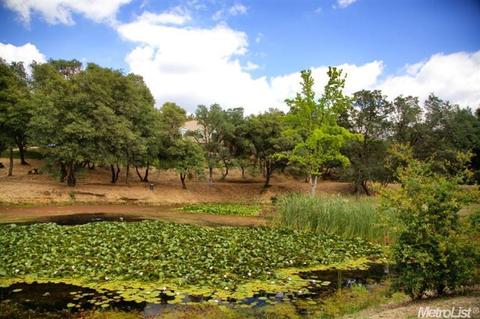 1031 State Highway 49, Placerville, CA 95667 photo 16