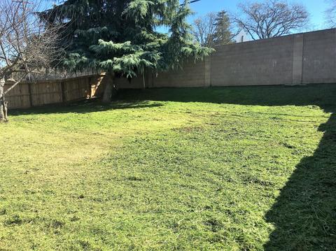 1304 Crater Ave, Modesto, CA 95351 photo 27