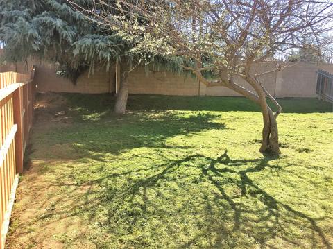 1304 Crater Ave, Modesto, CA 95351 photo 28