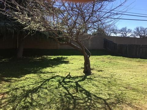 1304 Crater Ave, Modesto, CA 95351 photo 25