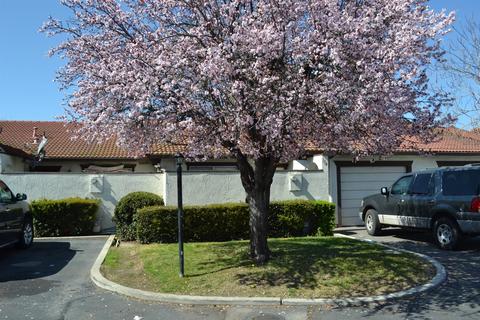156 E Grant Line Rd, Tracy, CA 95376 photo 1