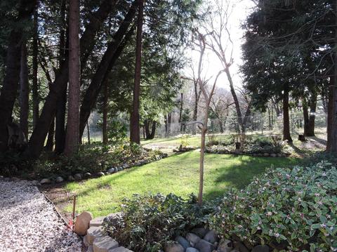 1111 White Oak Dr, Colfax, CA 95713 photo 26