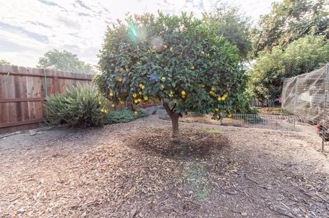 4013 Beckwith Rd, Modesto, CA 95358 photo 20