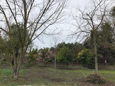 4920 E Harvest Rd, Acampo, CA 95220 photo 14