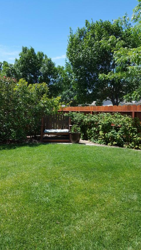 2024 Amaretto Dr, Modesto, CA 95356 photo 20