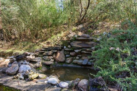 7120 Sly Park Rd, Placerville, CA 95667 photo 14