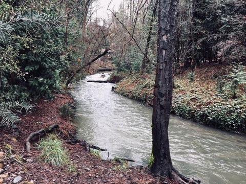 7655 Sly Park Rd, Placerville, CA 95667 photo 20