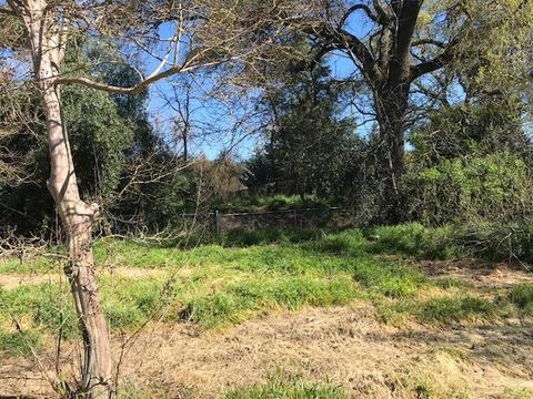 34481 Creeksedge Rd, Davis, CA 95616 photo 13