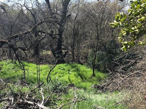 34481 Creeksedge Rd, Davis, CA 95616 photo 8