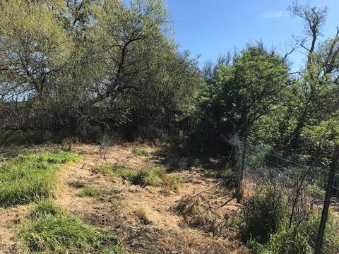 34481 Creeksedge Rd, Davis, CA 95616 photo 7