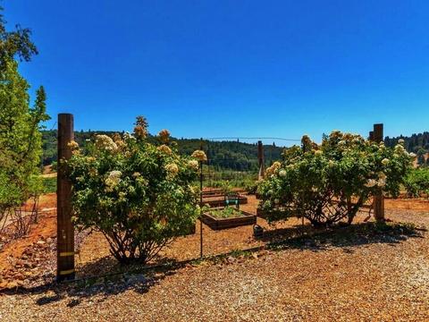 3720 Wilson Loop, Placerville, CA 95667 photo 17