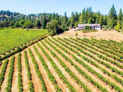 3720 Wilson Loop, Placerville, CA 95667 photo 15