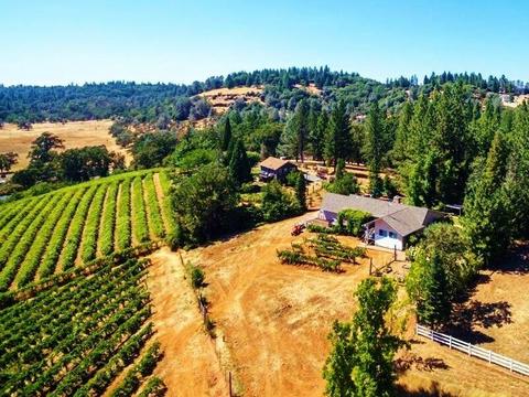 3720 Wilson Loop, Placerville, CA 95667 photo 25