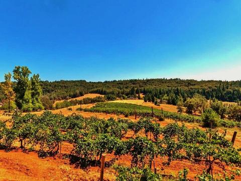 3720 Wilson Loop, Placerville, CA 95667 photo 21