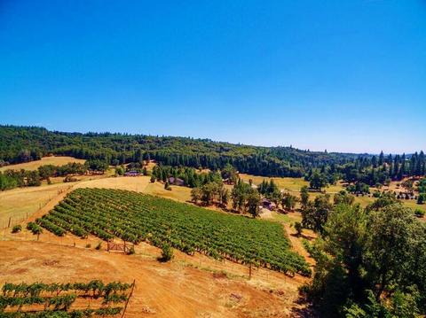 3720 Wilson Loop, Placerville, CA 95667 photo 24