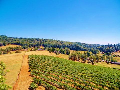 3720 Wilson Loop, Placerville, CA 95667 photo 18