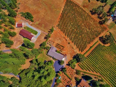 3720 Wilson Loop, Placerville, CA 95667 photo 22
