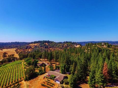 3720 Wilson Loop, Placerville, CA 95667 photo 26