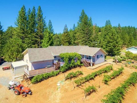 3720 Wilson Loop, Placerville, CA 95667 photo 4